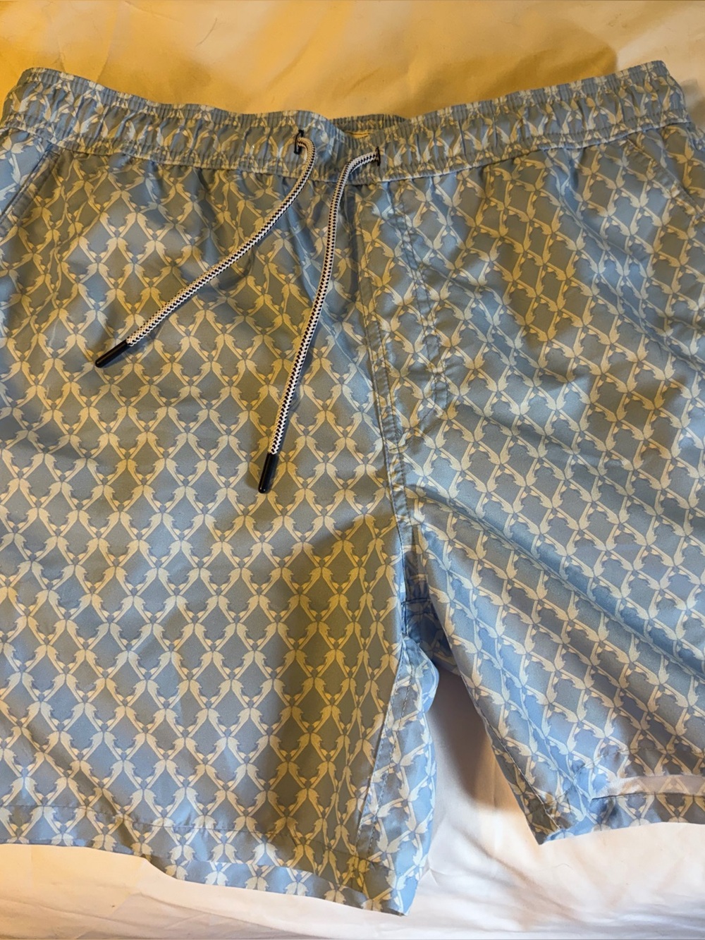 Onward Reserve Swim Trunks XL